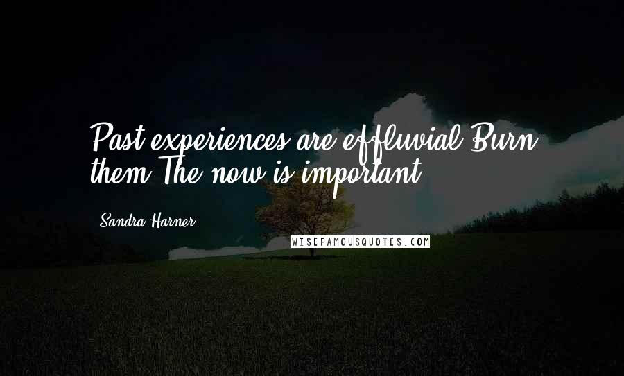 Sandra Harner Quotes: Past experiences are effluvial.Burn them.The now is important.