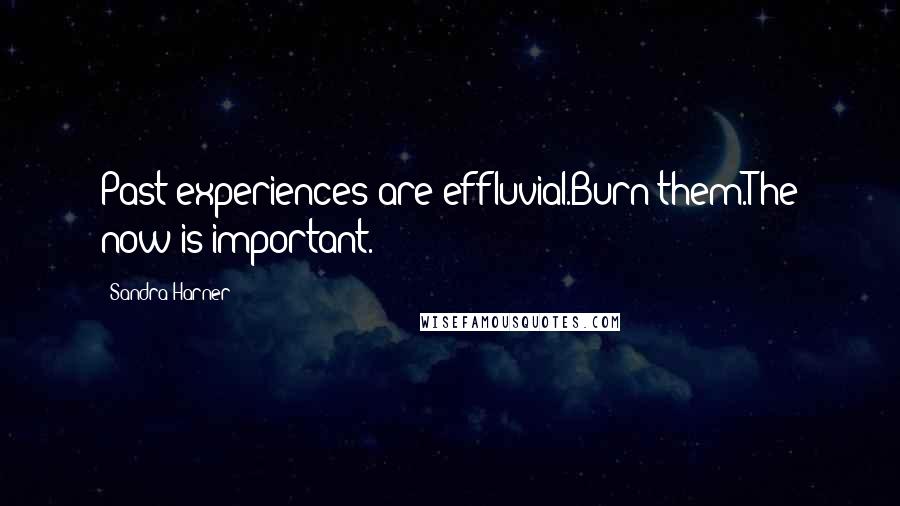 Sandra Harner Quotes: Past experiences are effluvial.Burn them.The now is important.