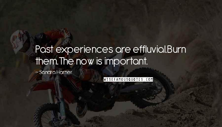 Sandra Harner Quotes: Past experiences are effluvial.Burn them.The now is important.