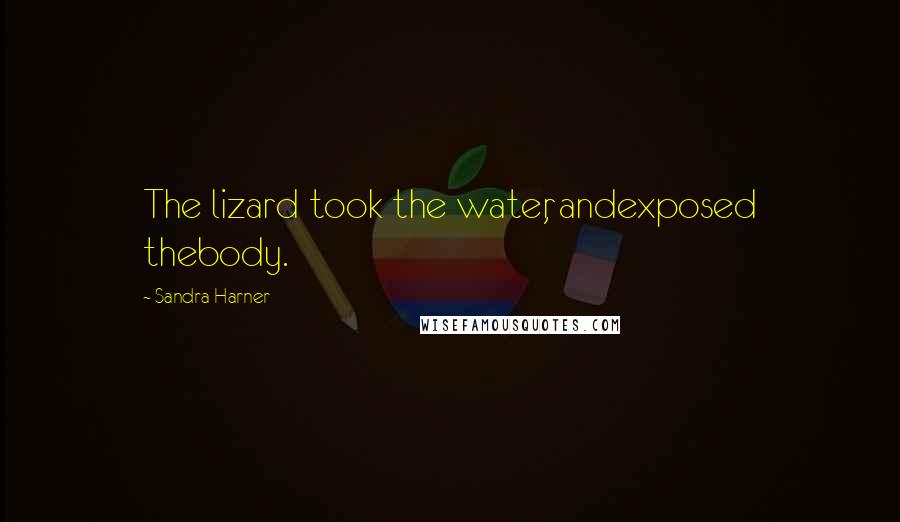 Sandra Harner Quotes: The lizard took the water, andexposed thebody.