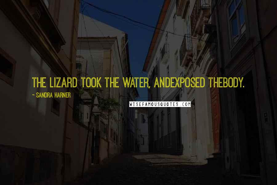 Sandra Harner Quotes: The lizard took the water, andexposed thebody.