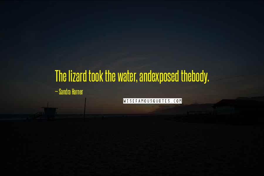 Sandra Harner Quotes: The lizard took the water, andexposed thebody.