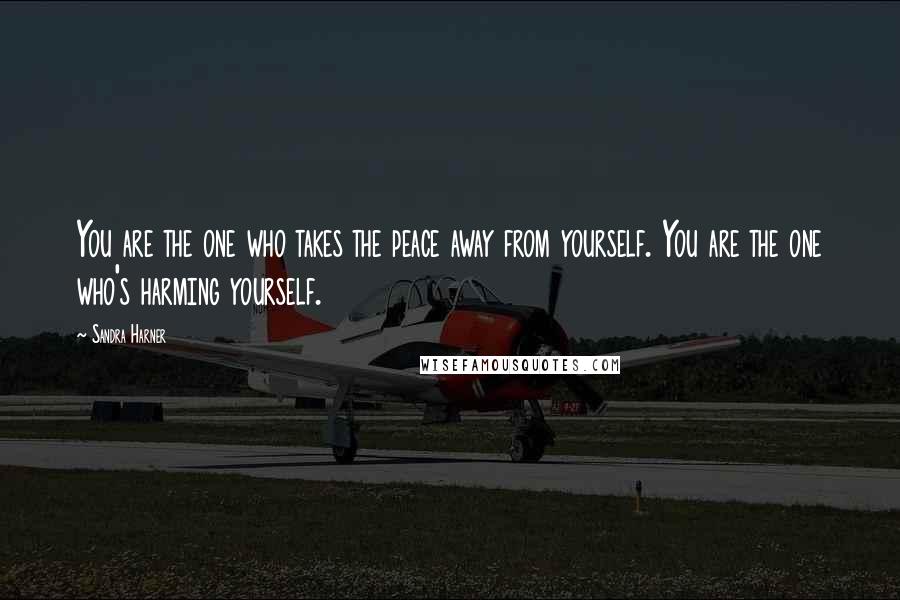 Sandra Harner Quotes: You are the one who takes the peace away from yourself. You are the one who's harming yourself.