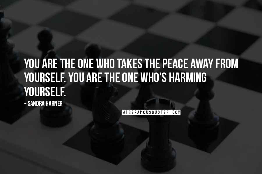 Sandra Harner Quotes: You are the one who takes the peace away from yourself. You are the one who's harming yourself.