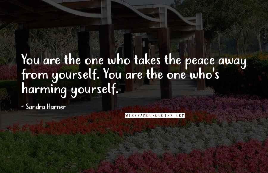 Sandra Harner Quotes: You are the one who takes the peace away from yourself. You are the one who's harming yourself.