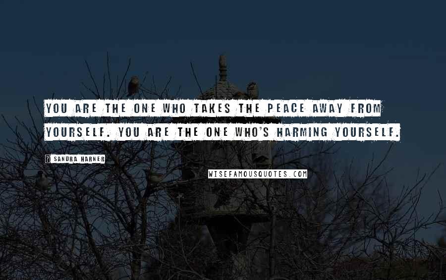 Sandra Harner Quotes: You are the one who takes the peace away from yourself. You are the one who's harming yourself.