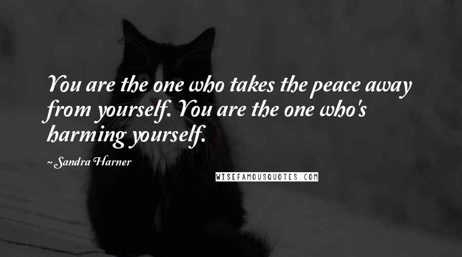 Sandra Harner Quotes: You are the one who takes the peace away from yourself. You are the one who's harming yourself.