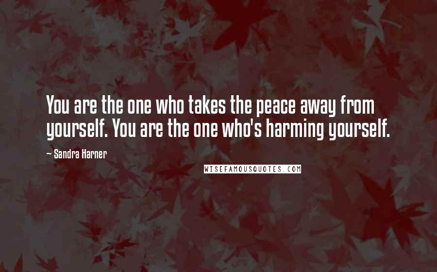 Sandra Harner Quotes: You are the one who takes the peace away from yourself. You are the one who's harming yourself.