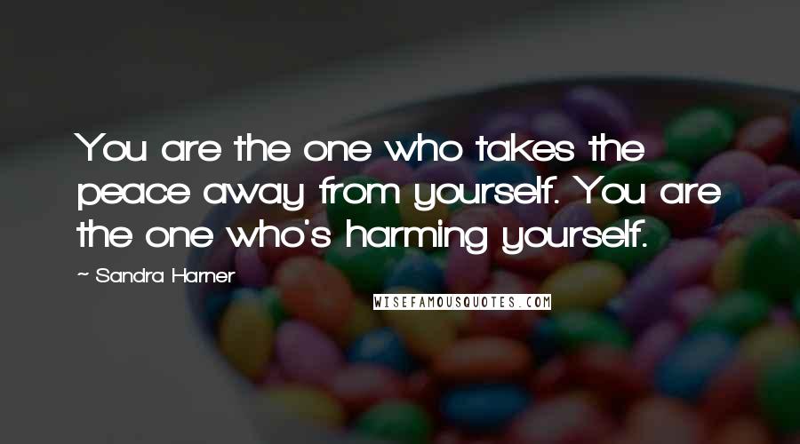 Sandra Harner Quotes: You are the one who takes the peace away from yourself. You are the one who's harming yourself.