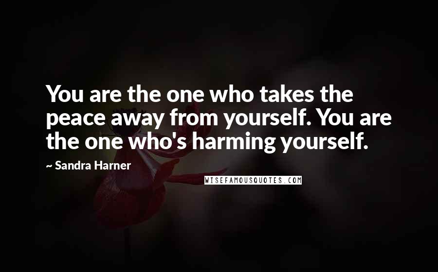 Sandra Harner Quotes: You are the one who takes the peace away from yourself. You are the one who's harming yourself.