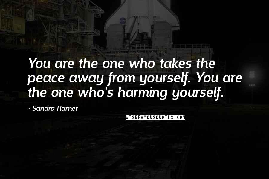Sandra Harner Quotes: You are the one who takes the peace away from yourself. You are the one who's harming yourself.