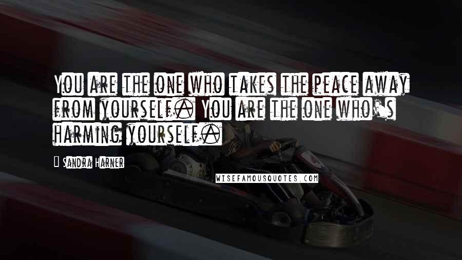 Sandra Harner Quotes: You are the one who takes the peace away from yourself. You are the one who's harming yourself.
