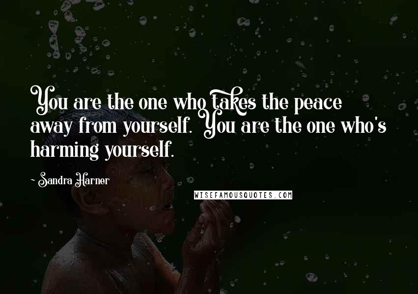 Sandra Harner Quotes: You are the one who takes the peace away from yourself. You are the one who's harming yourself.