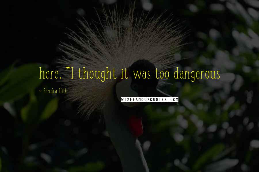 Sandra Hill Quotes: here. "I thought it was too dangerous