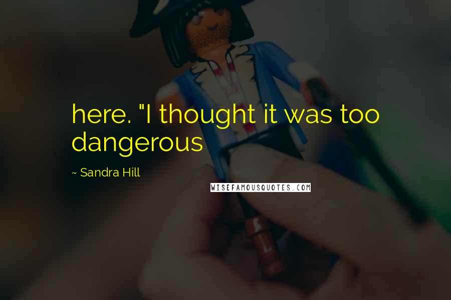 Sandra Hill Quotes: here. "I thought it was too dangerous
