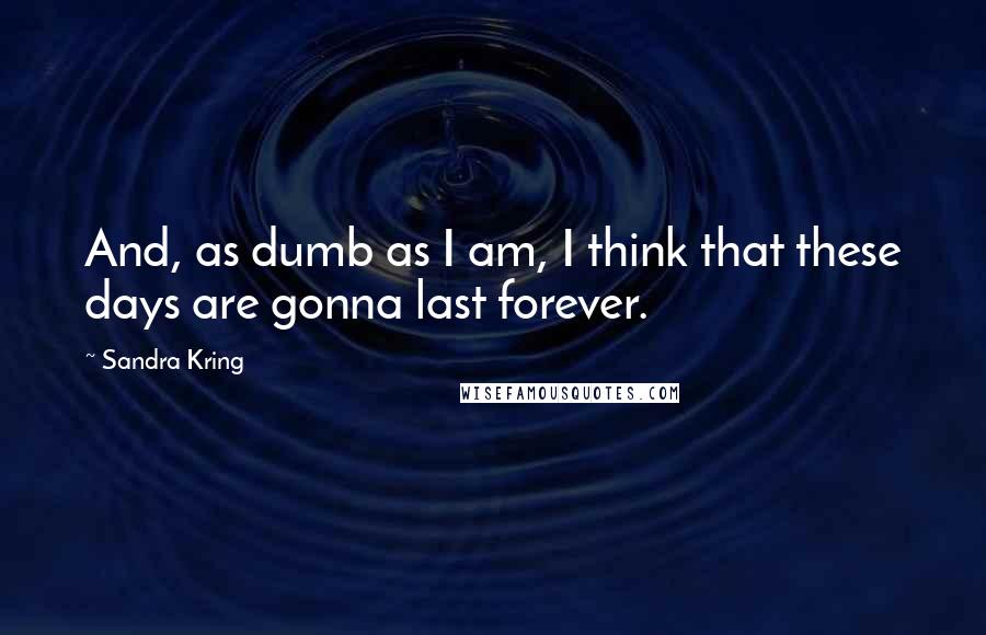 Sandra Kring Quotes: And, as dumb as I am, I think that these days are gonna last forever.