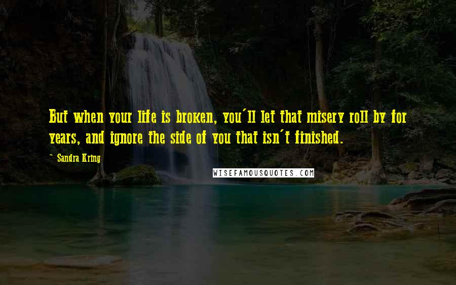 Sandra Kring Quotes: But when your life is broken, you'll let that misery roll by for years, and ignore the side of you that isn't finished.