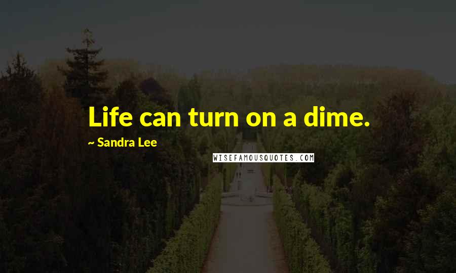 Sandra Lee Quotes: Life can turn on a dime.