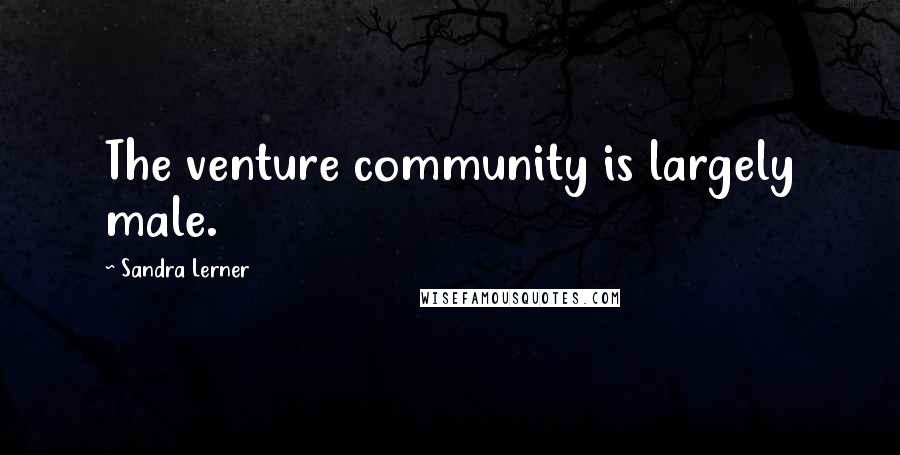 Sandra Lerner Quotes: The venture community is largely male.