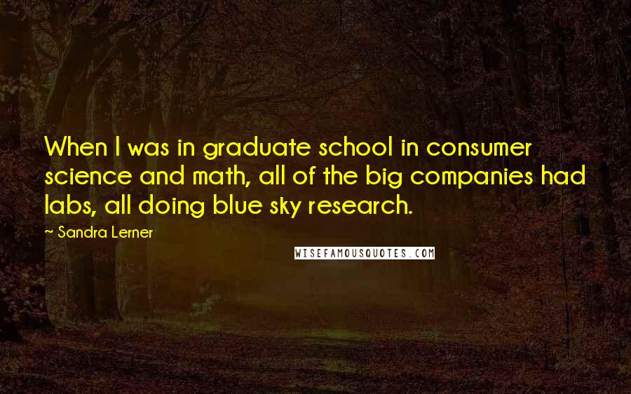 Sandra Lerner Quotes: When I was in graduate school in consumer science and math, all of the big companies had labs, all doing blue sky research.