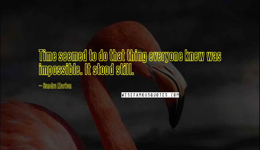 Sandra Marton Quotes: Time seemed to do that thing everyone knew was impossible. It stood still.