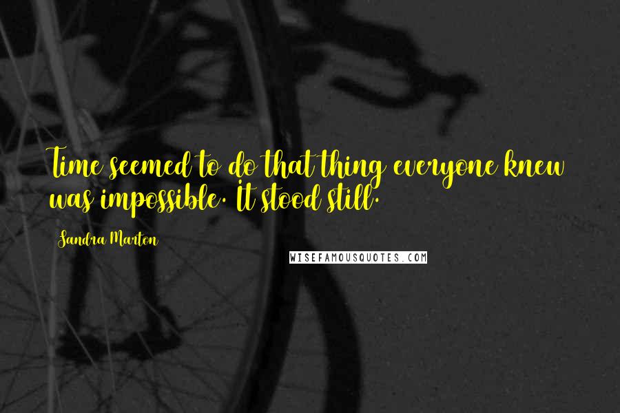 Sandra Marton Quotes: Time seemed to do that thing everyone knew was impossible. It stood still.