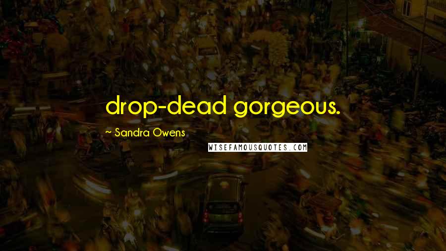 Sandra Owens Quotes: drop-dead gorgeous.