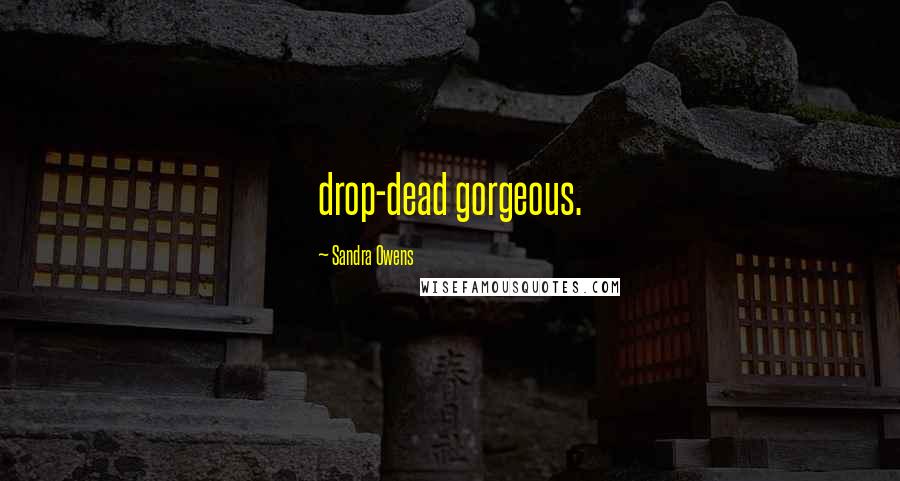 Sandra Owens Quotes: drop-dead gorgeous.