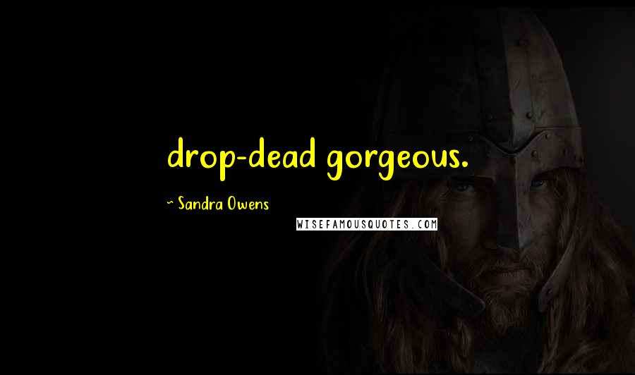 Sandra Owens Quotes: drop-dead gorgeous.