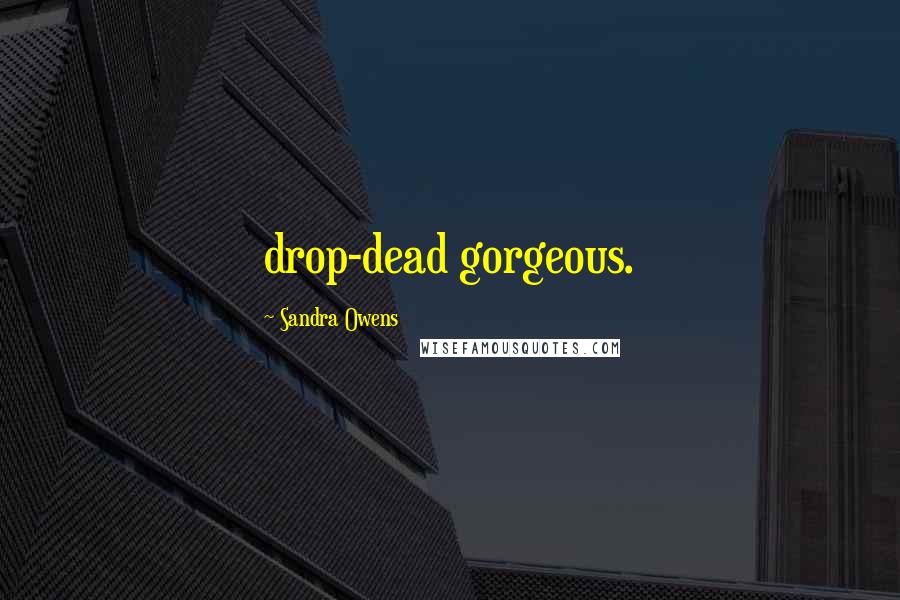 Sandra Owens Quotes: drop-dead gorgeous.