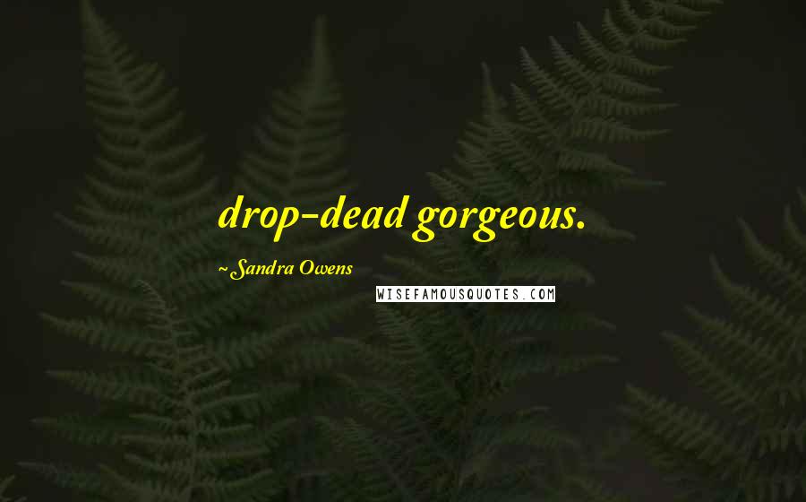 Sandra Owens Quotes: drop-dead gorgeous.