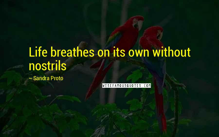 Sandra Proto Quotes: Life breathes on its own without nostrils
