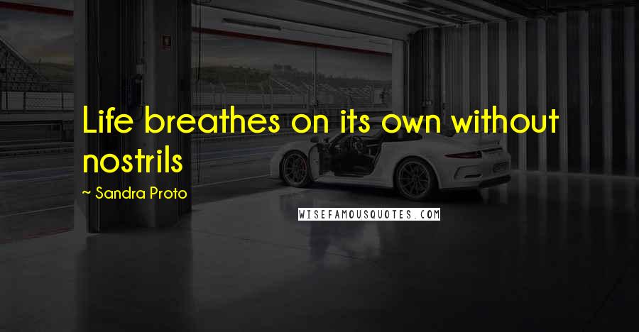 Sandra Proto Quotes: Life breathes on its own without nostrils
