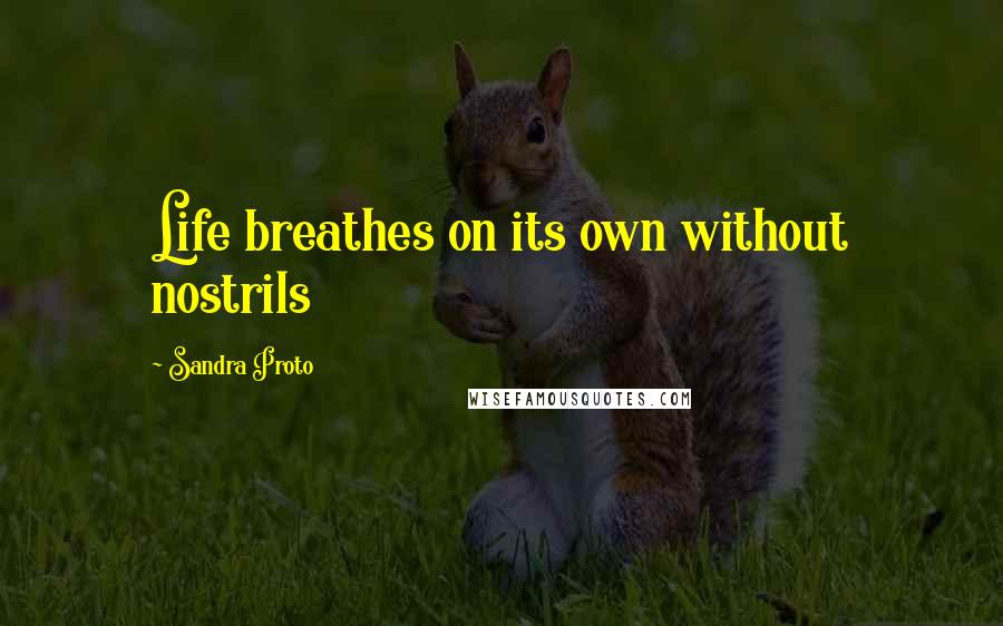 Sandra Proto Quotes: Life breathes on its own without nostrils