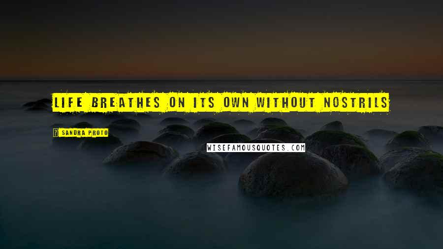 Sandra Proto Quotes: Life breathes on its own without nostrils