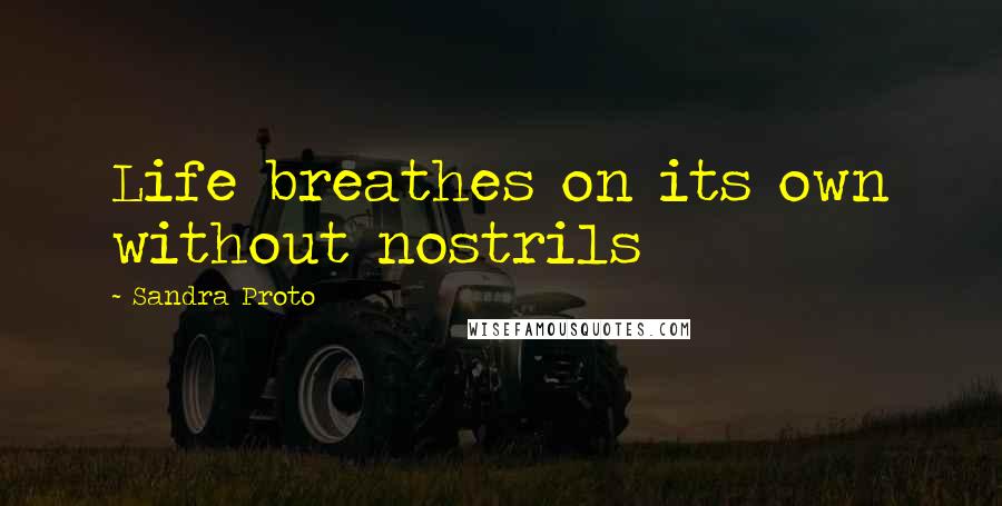 Sandra Proto Quotes: Life breathes on its own without nostrils
