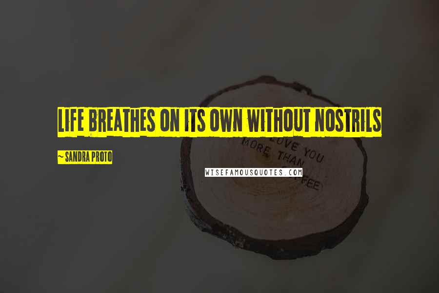 Sandra Proto Quotes: Life breathes on its own without nostrils