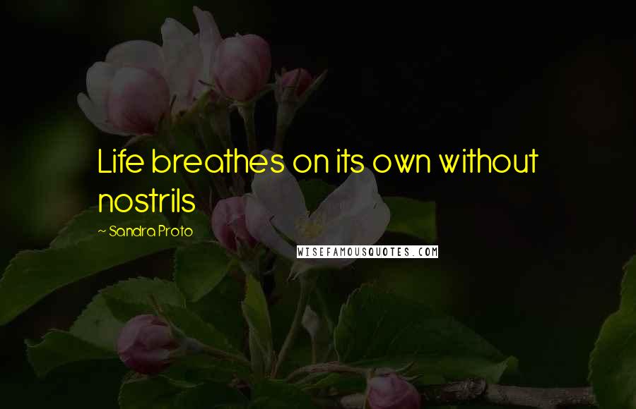 Sandra Proto Quotes: Life breathes on its own without nostrils