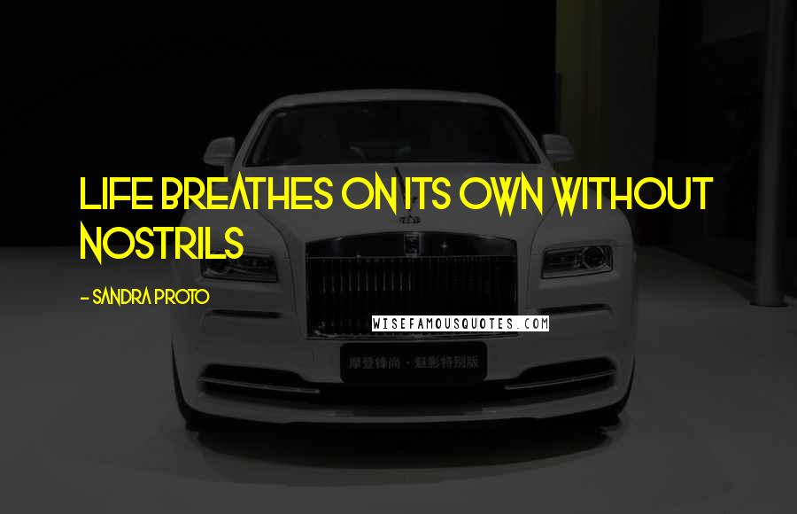 Sandra Proto Quotes: Life breathes on its own without nostrils