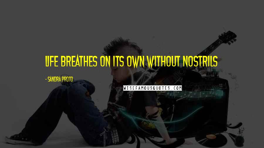 Sandra Proto Quotes: Life breathes on its own without nostrils