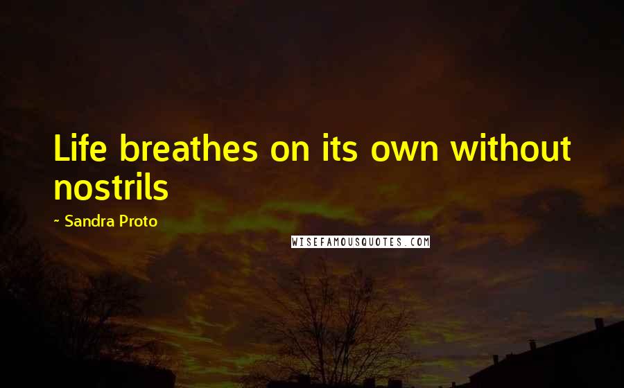 Sandra Proto Quotes: Life breathes on its own without nostrils