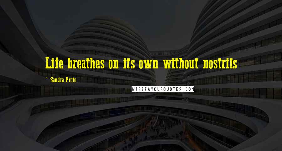 Sandra Proto Quotes: Life breathes on its own without nostrils