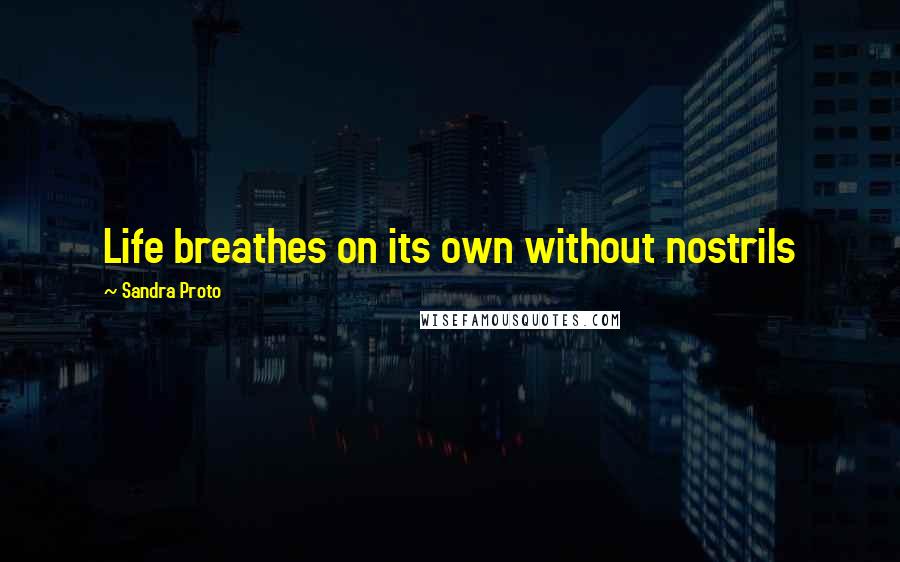 Sandra Proto Quotes: Life breathes on its own without nostrils