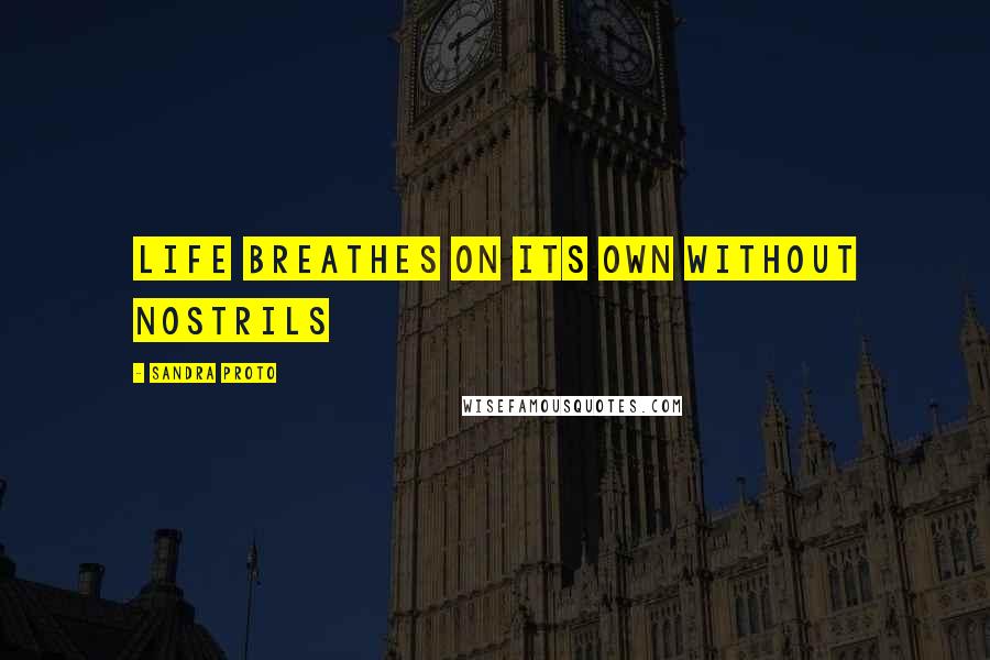 Sandra Proto Quotes: Life breathes on its own without nostrils