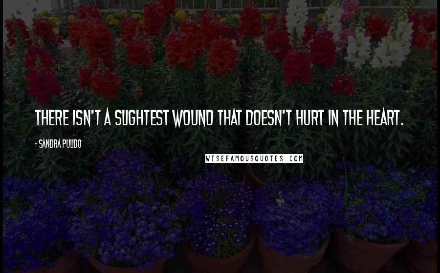 Sandra Pulido Quotes: there isn't a slightest wound that doesn't hurt in the heart.