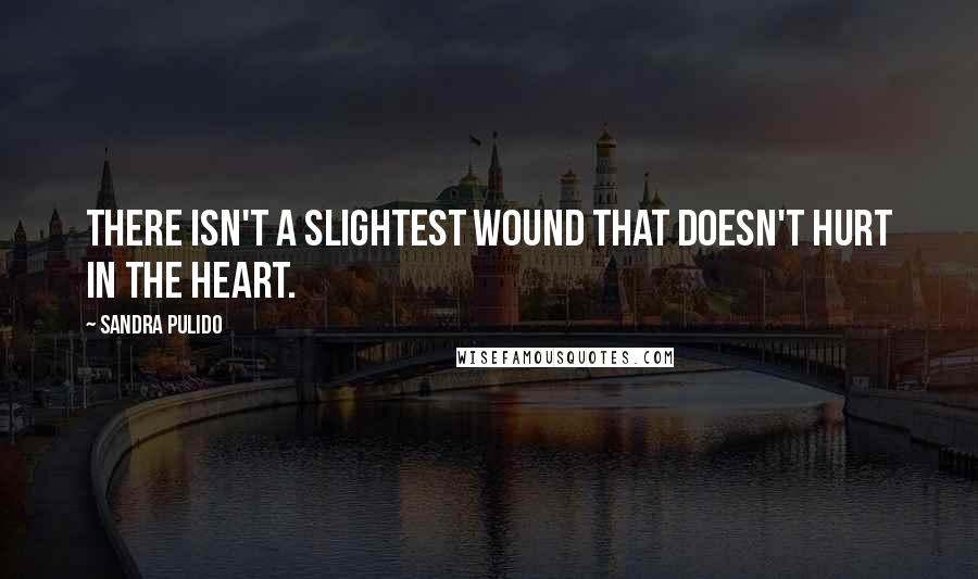 Sandra Pulido Quotes: there isn't a slightest wound that doesn't hurt in the heart.