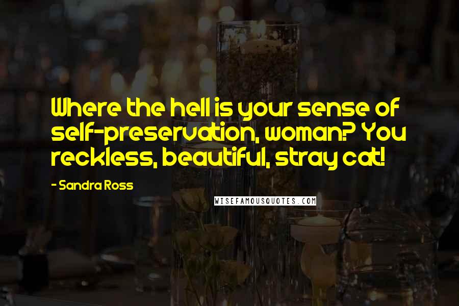 Sandra Ross Quotes: Where the hell is your sense of self-preservation, woman? You reckless, beautiful, stray cat!