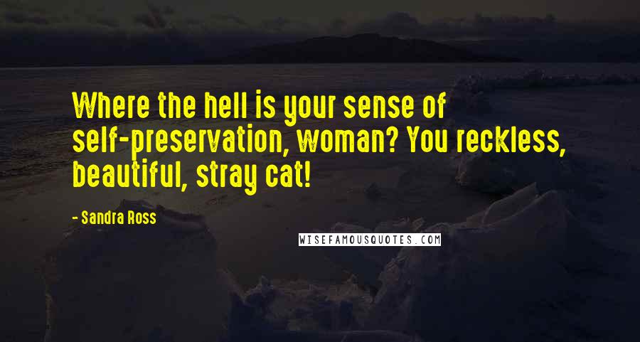Sandra Ross Quotes: Where the hell is your sense of self-preservation, woman? You reckless, beautiful, stray cat!