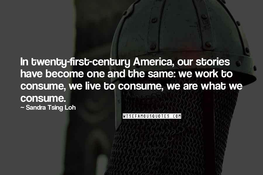 Sandra Tsing Loh Quotes: In twenty-first-century America, our stories have become one and the same: we work to consume, we live to consume, we are what we consume.