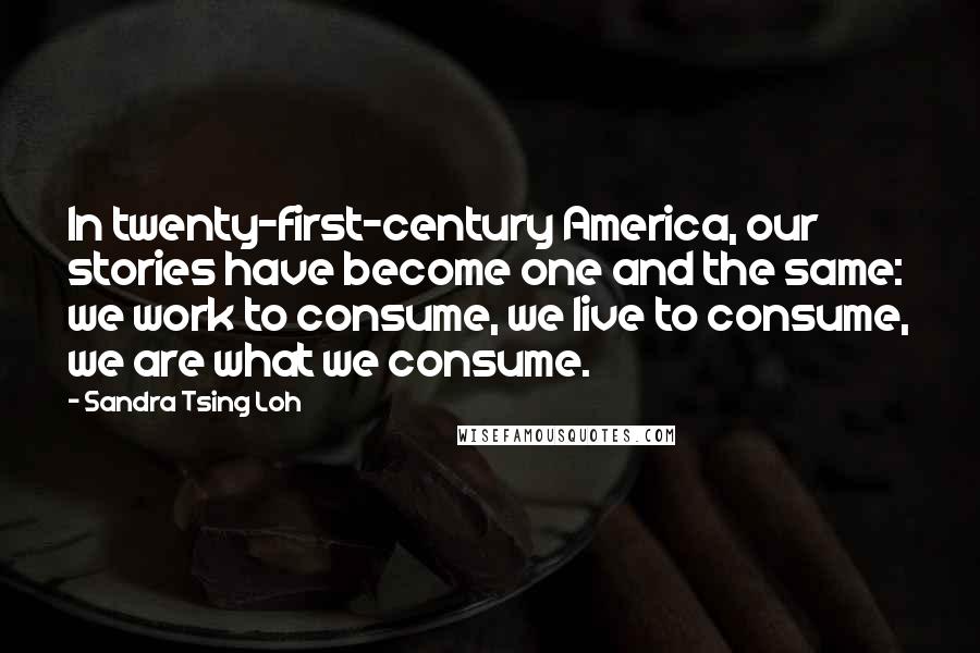 Sandra Tsing Loh Quotes: In twenty-first-century America, our stories have become one and the same: we work to consume, we live to consume, we are what we consume.